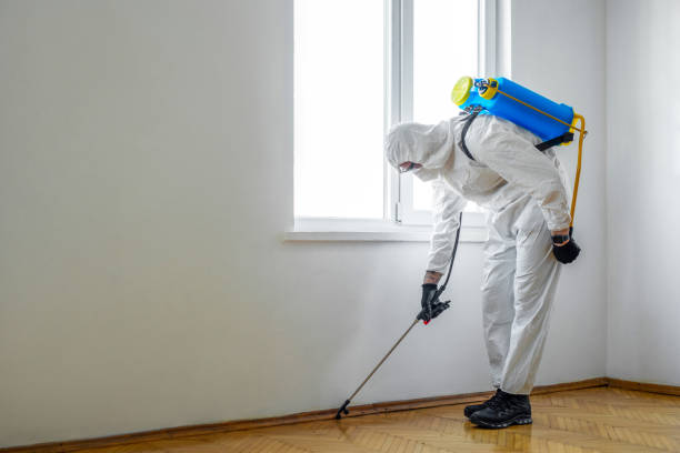 Best Commercial Pest Control Services  in Angola On The Lake, NY
