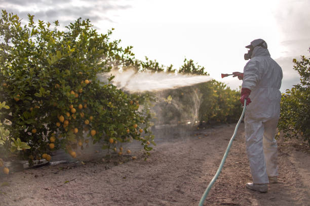 Best Wasp Removal Services  in Angola On The Lake, NY