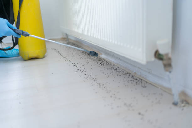 Best Pest Removal Services  in Angola On The Lake, NY